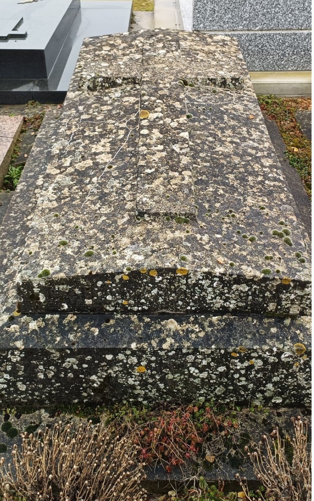 Tombe avant entretien